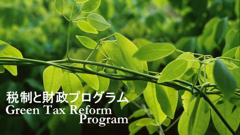 持続可能な社会と税制・財政 プログラム